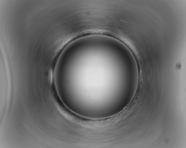 X0000092040013200709191109