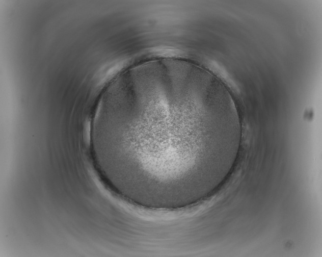 X0000092040014200709191109