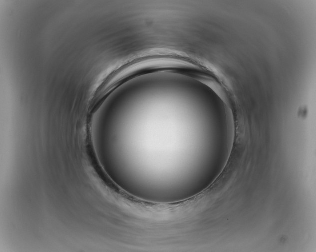 X0000092040015200709191109