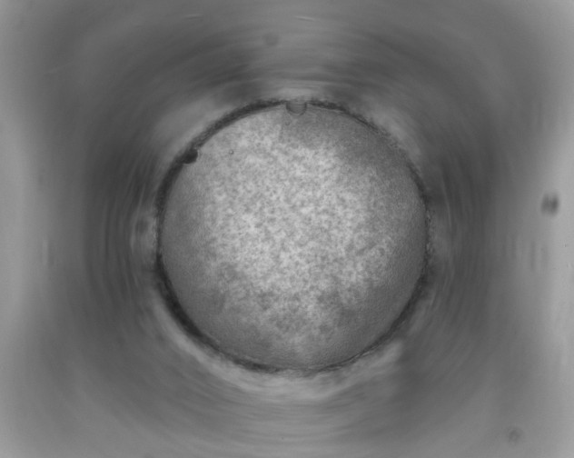 X0000092040016200709191109