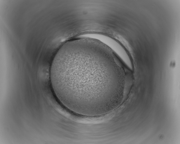 X0000092040017200709191109