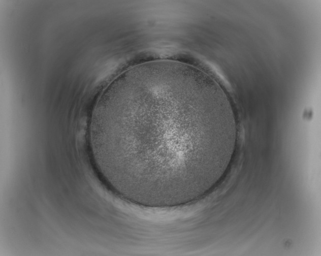 X0000092040018200709191109