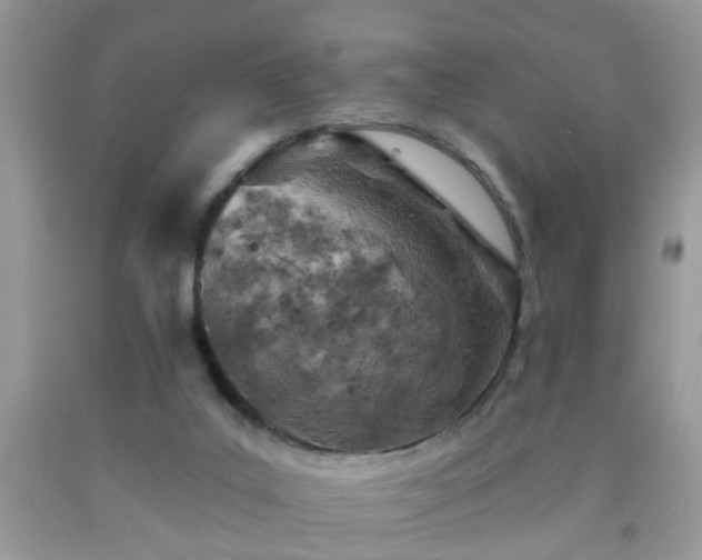 X0000092040019200709191109