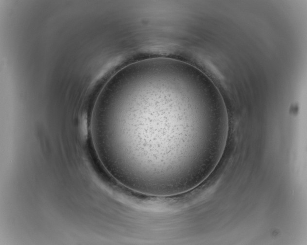 X0000092040020200709191109