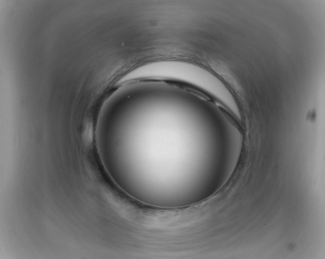 X0000092040021200709191109