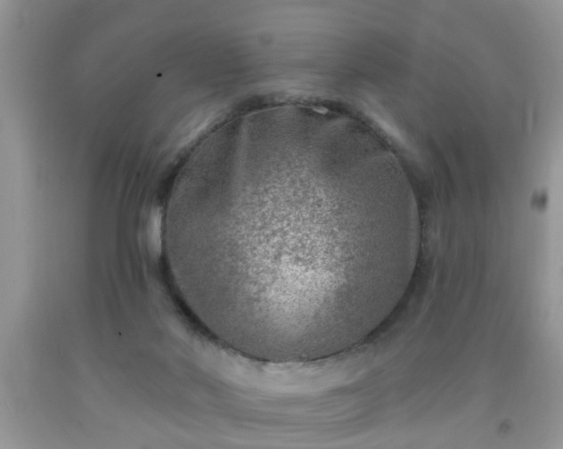 X0000092040022200709191109