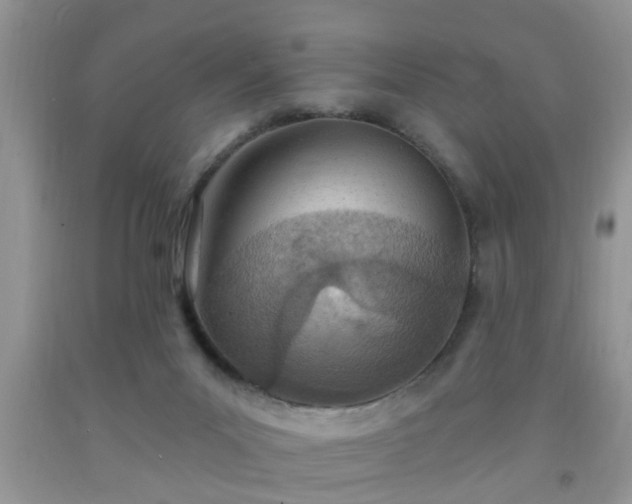 X0000092040023200709191109