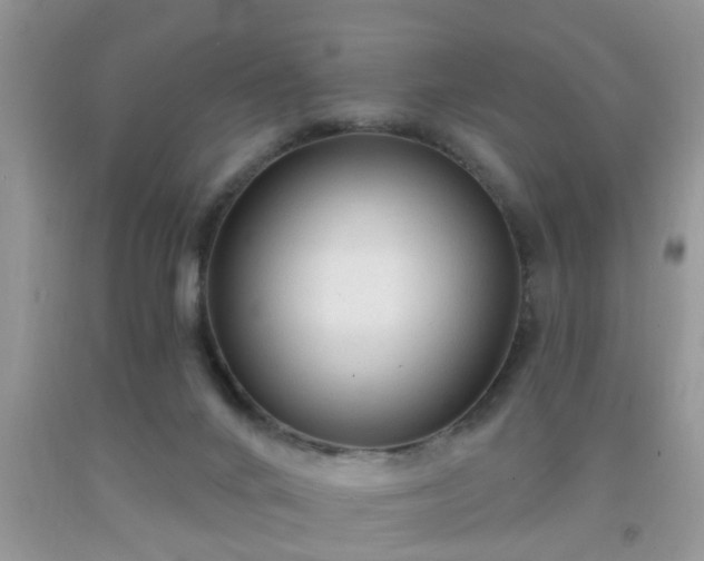 X0000092040024200709191109