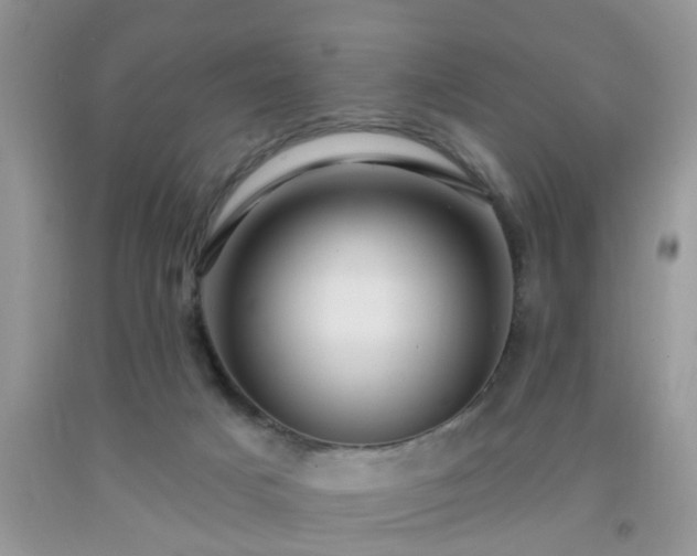 X0000092040025200709191109