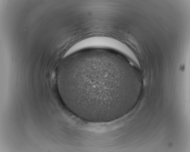 X0000092040029200709191109