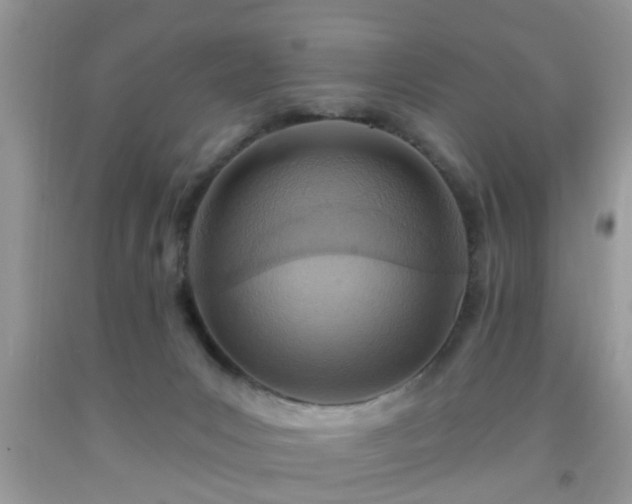 X0000092040031200709191109