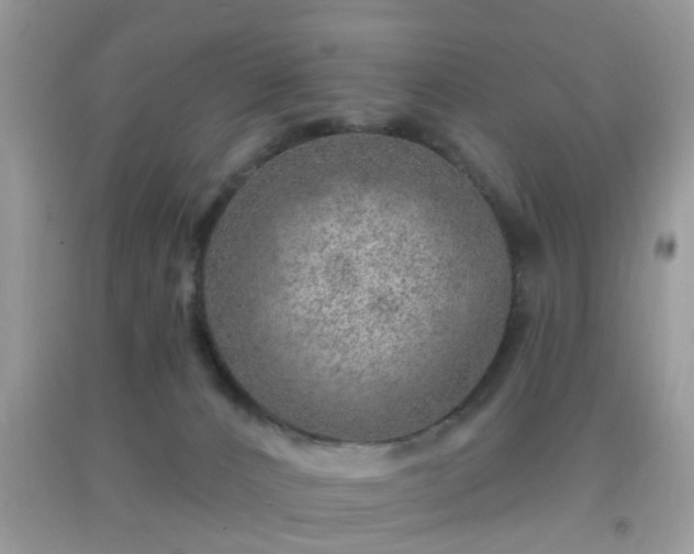 X0000092040032200709191109