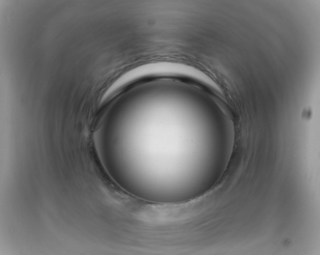 X0000092040033200709191109