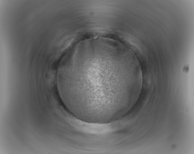 X0000092040034200709191109