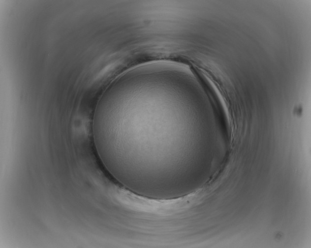 X0000092040035200709191109