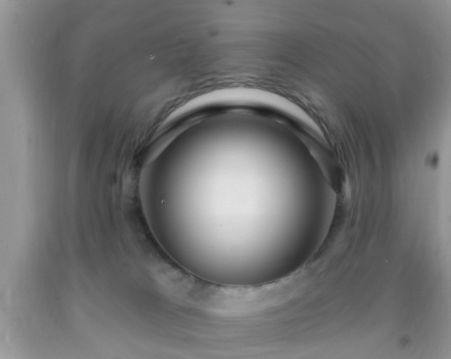 X0000092040037200709191109