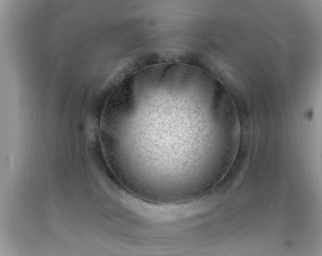 X0000092040038200709191109