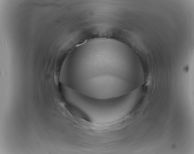 X0000092040039200709191109