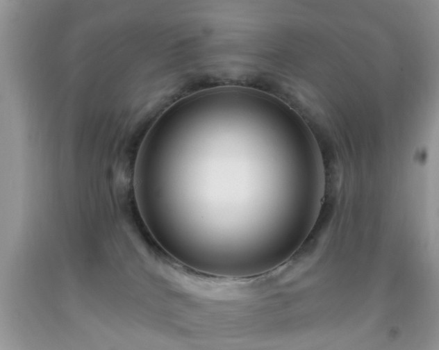 X0000092040040200709191109