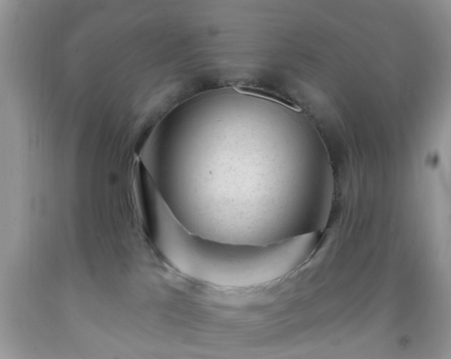 X0000092040041200709191109