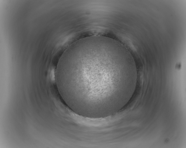 X0000092040042200709191109