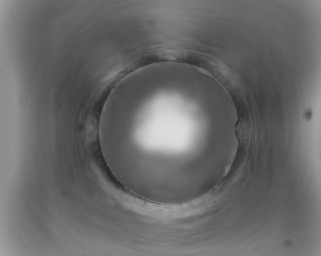 X0000092040043200709191109