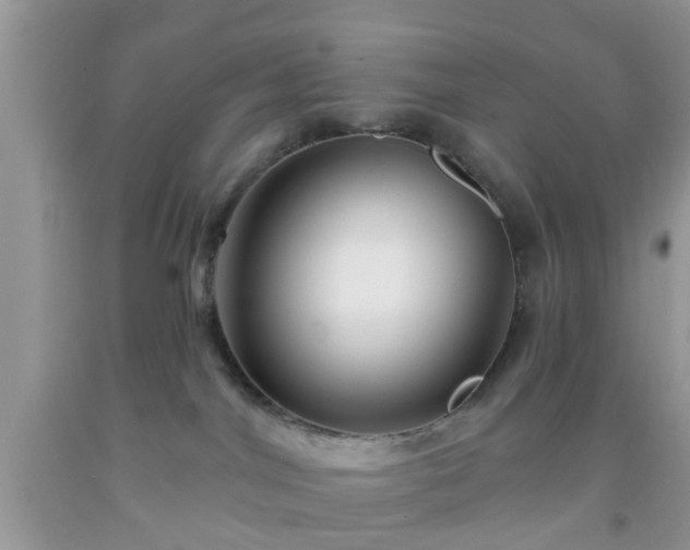 X0000092040044200709191109