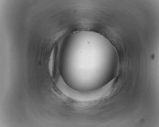 X0000092040045200709191109