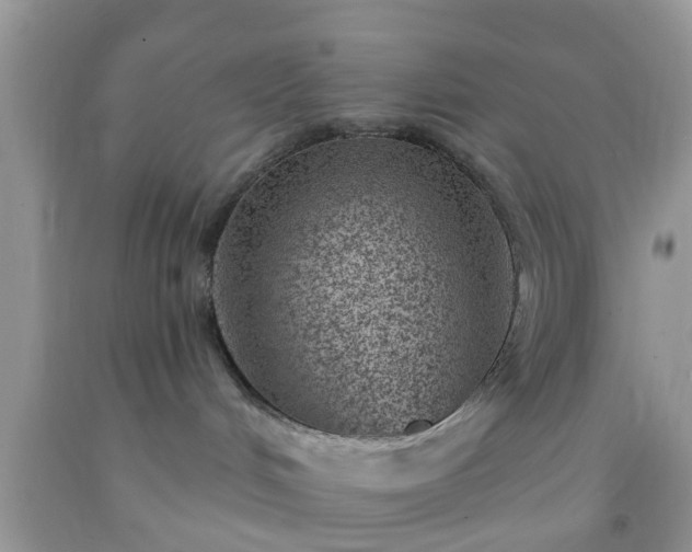 X0000092040048200709191109