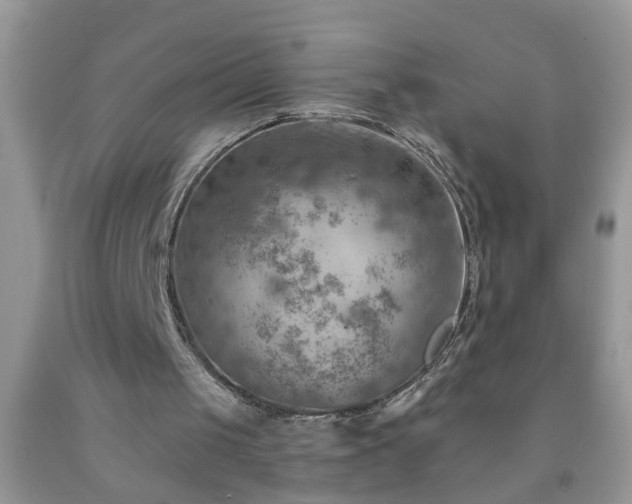 X0000092040049200709191108