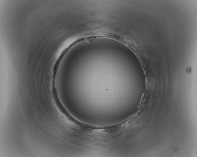 X0000092040054200709191108