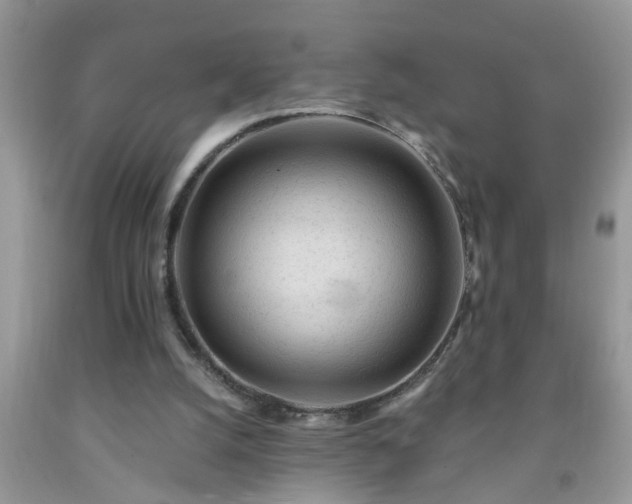 X0000092040056200709191108