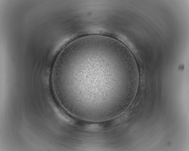 X0000092040058200709191108