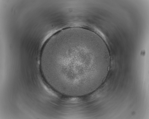 X0000092040059200709191108