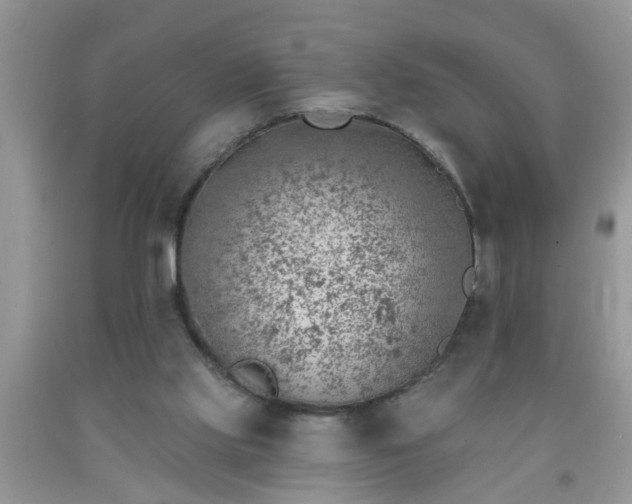 X0000092040061200709191108