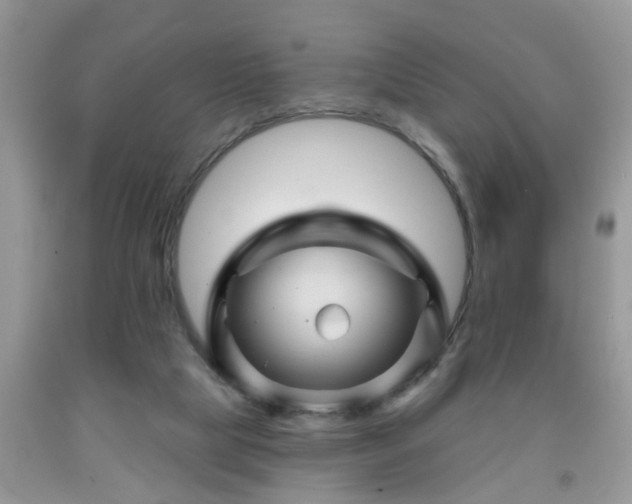 X0000092040065200709191108