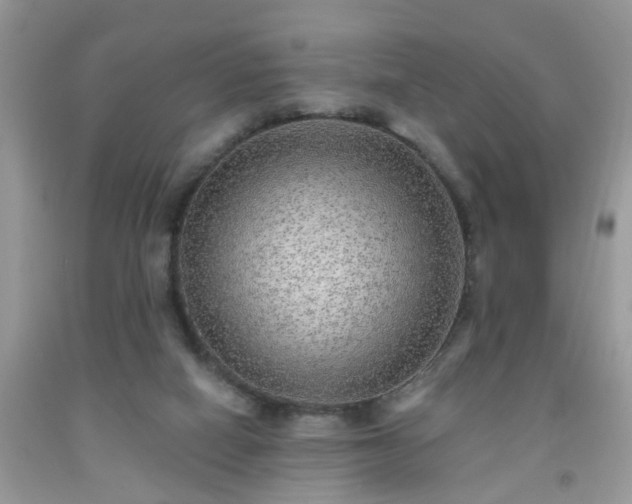 X0000092040066200709191108