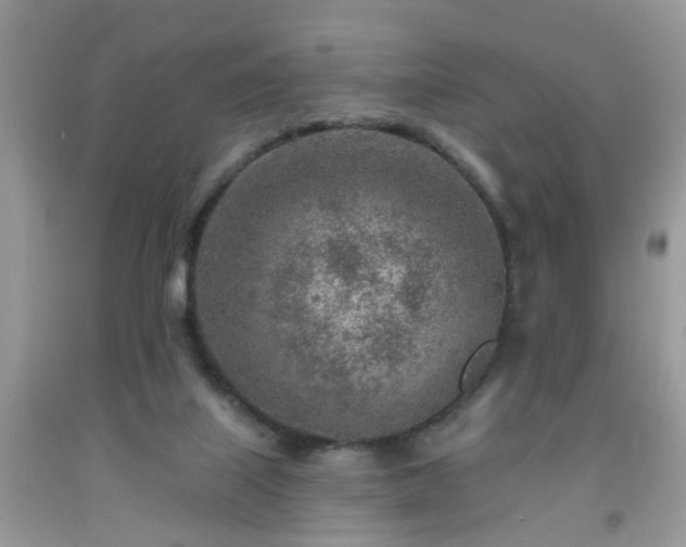 X0000092040067200709191108