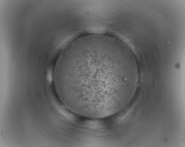 X0000092040069200709191108