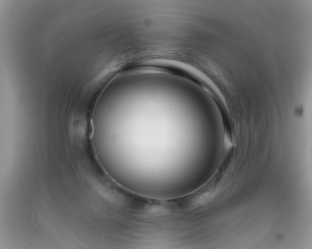 X0000092040072200709191109