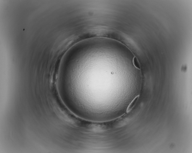 X0000092040073200709191109