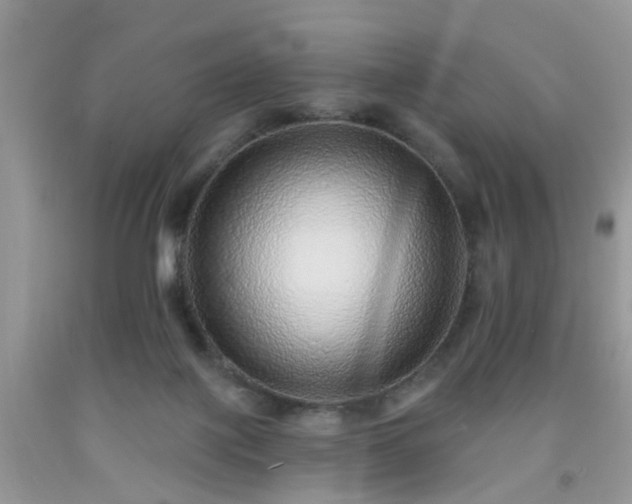 X0000092040075200709191109