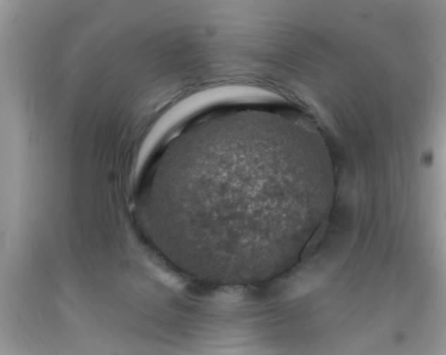 X0000092040076200709191109