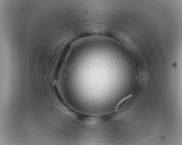 X0000092040077200709191109