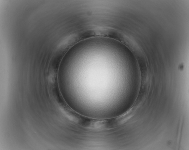 X0000092040078200709191109