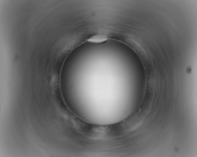 X0000092040079200709191109