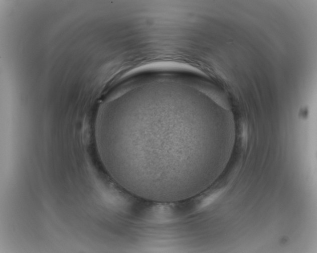 X0000092040080200709191109