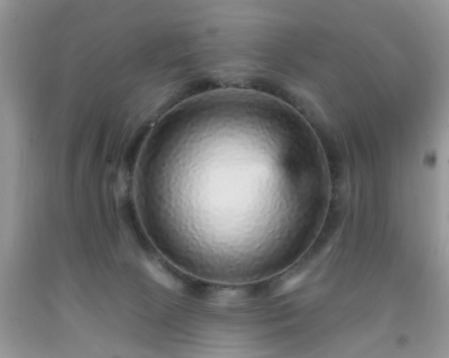 X0000092040081200709191109