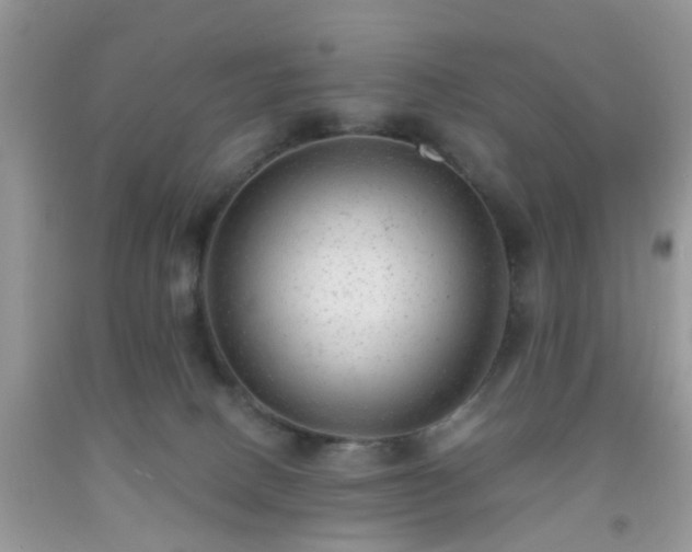 X0000092040082200709191109