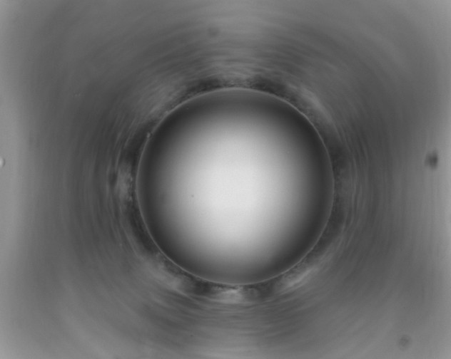 X0000092040083200709191109